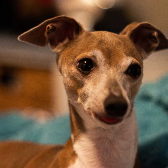 Meet your Posher, Andrea - Picture 7 of 7